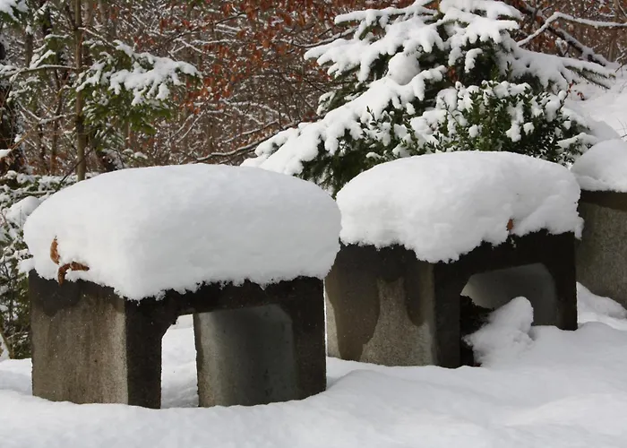 Schwaebische Alb * Burladingen